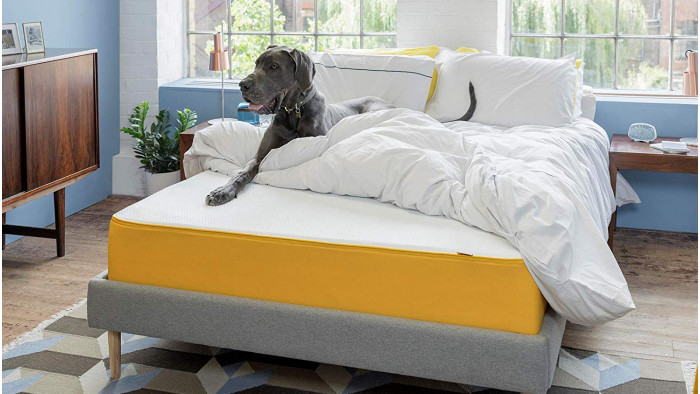 best amazon prime mattress