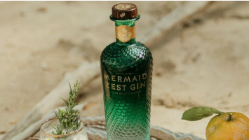 The Best Gins To Drink In 2024 With 45 Gin Brands Taste Tested