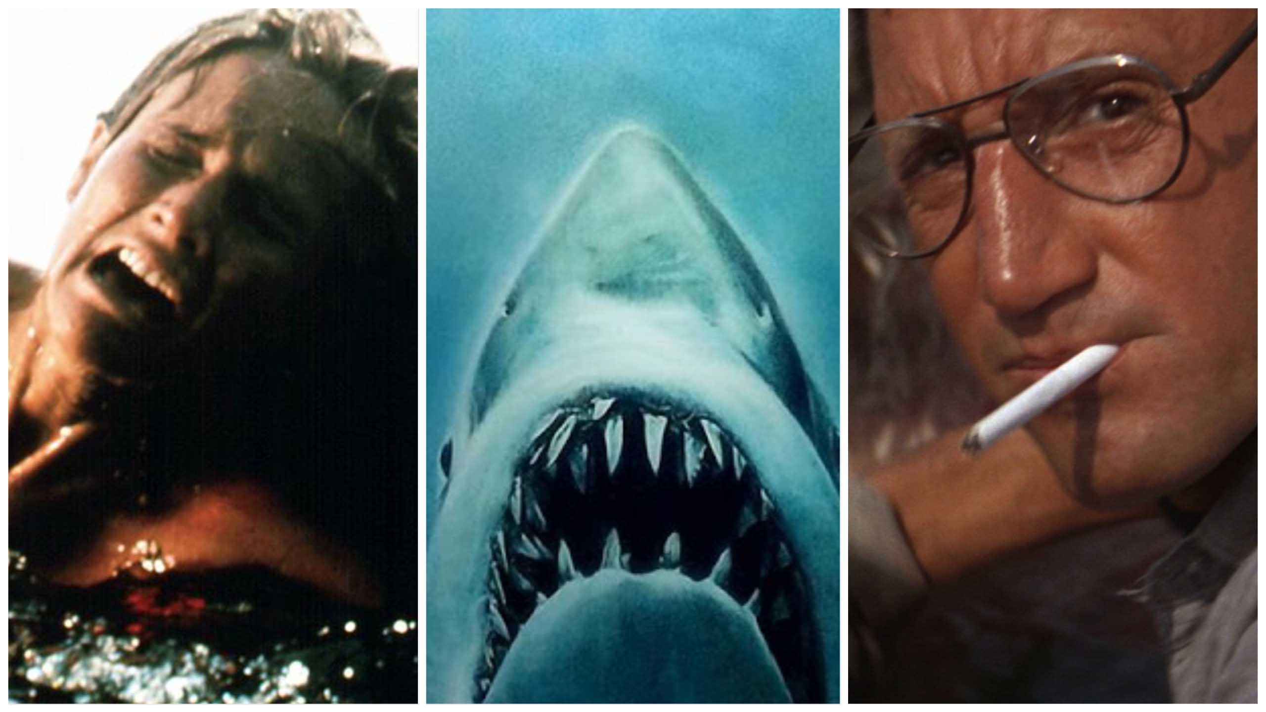 15 things you probably didn t know about Jaws