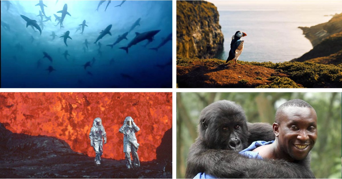 The best nature documentaries to watch on Earth Day 2023