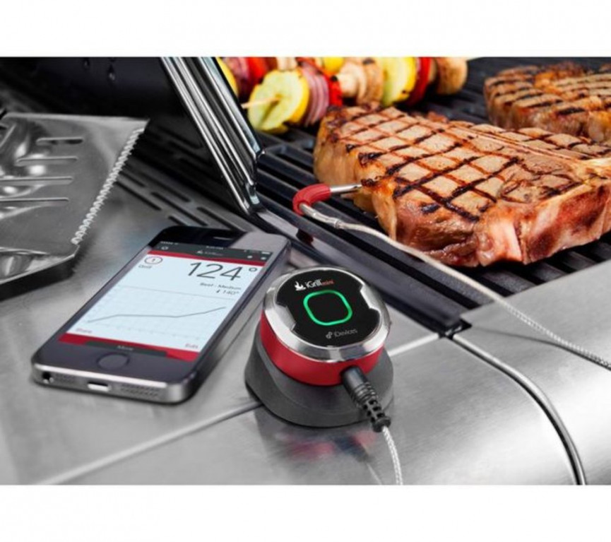 10 best barbecue gadgets